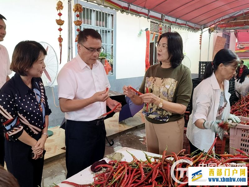 广西台办赴北海市开展海峡两岸乡村振兴合作基地创建工作调研(图1) 广西台办赴北海市开展海峡两岸乡村振兴合作基地创建工作调研(图1)