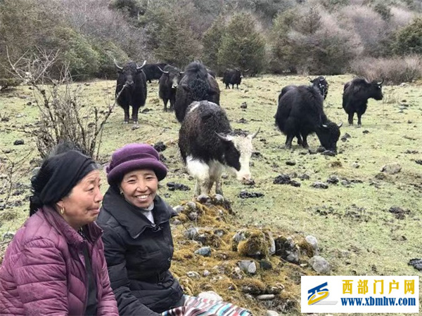 大美边疆行丨西藏:固边兴边富民打造高原边疆美丽新画卷(图1) 大美边疆行丨西藏:固边兴边富民打造高原边疆美丽新画卷(图1)