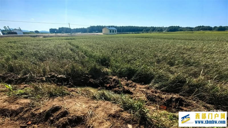 时政星空网页版登录入口眼丨习近平赴黑龙江看望慰问受灾群众,重点关注了什么(图4) 时政星空网页版登录入口眼丨习近平赴黑龙江看望慰问受灾群众,重点关注了什么(图4)