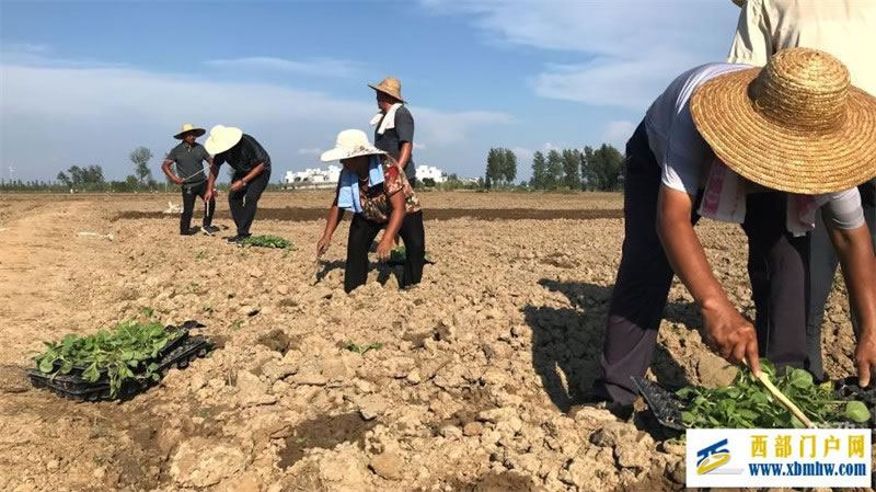 时政星空网页版登录入口眼丨习近平赴黑龙江看望慰问受灾群众,重点关注了什么(图9) 时政星空网页版登录入口眼丨习近平赴黑龙江看望慰问受灾群众,重点关注了什么(图9)