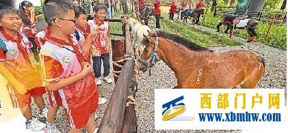 从黄金周眺望黄金季——广西中秋国庆假期旅游发展观察(图4) 从黄金周眺望黄金季——广西中秋国庆假期旅游发展观察(图4)