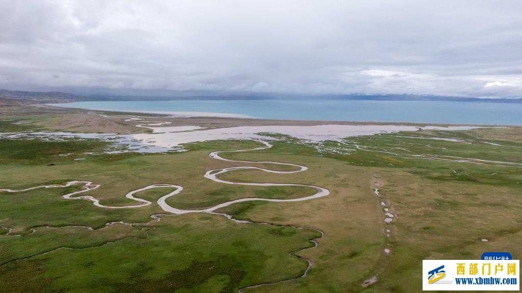 辉煌60载 魅力新西藏|玛旁雍错湿地展现盛夏生命力(图3) 辉煌60载 魅力新西藏|玛旁雍错湿地展现盛夏生命力(图3)