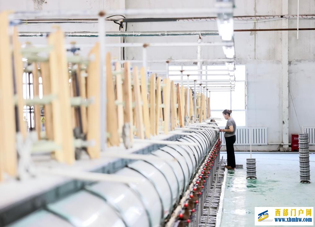 新疆乌苏:桑蚕茧产业拓宽乡村振兴新“丝”路(图6) 新疆乌苏:桑蚕茧产业拓宽乡村振兴新“丝”路(图6)