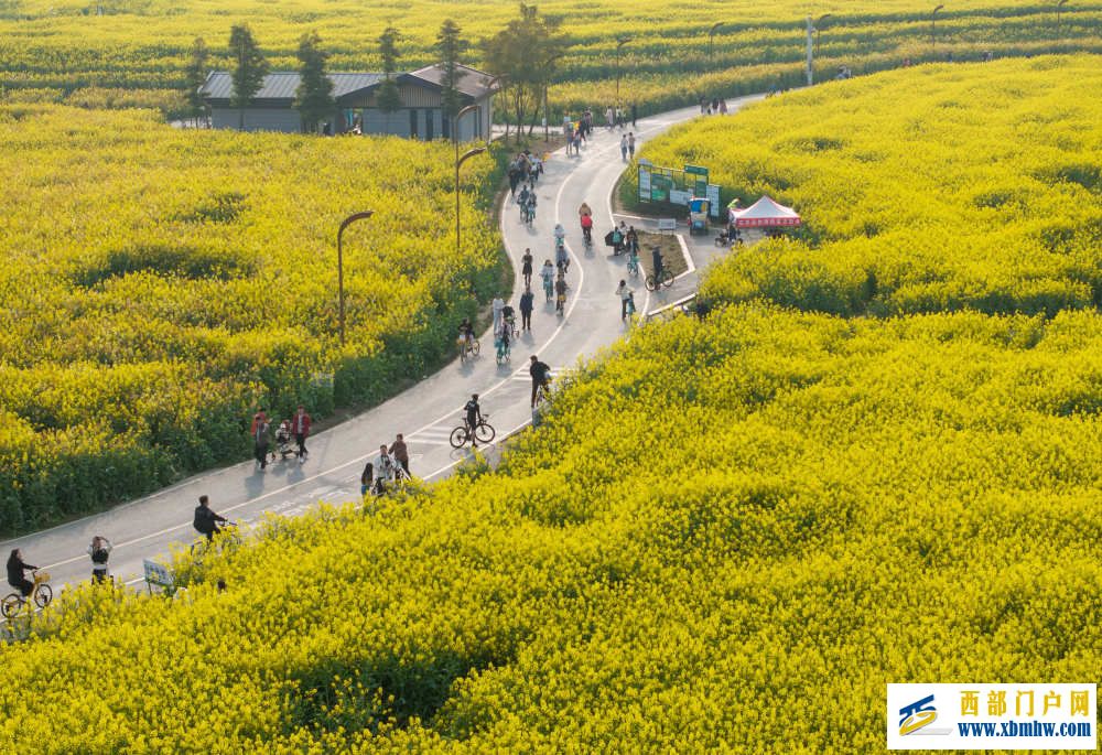 在成都|从晨曦到夜色,感受生态之城的绿色脉搏(图8) 在成都|从晨曦到夜色,感受生态之城的绿色脉搏(图8)