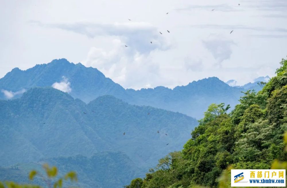 在成都|从晨曦到夜色,感受生态之城的绿色脉搏(图12) 在成都|从晨曦到夜色,感受生态之城的绿色脉搏(图12)