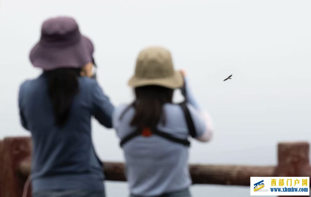 在成都|从晨曦到夜色,感受生态之城的绿色脉搏(图14) 在成都|从晨曦到夜色,感受生态之城的绿色脉搏(图14)