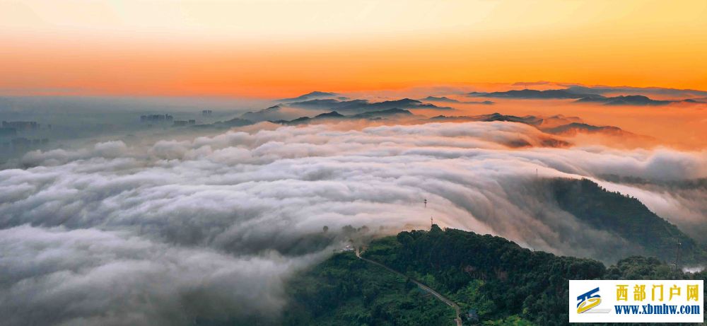 在成都|从晨曦到夜色,感受生态之城的绿色脉搏(图21) 在成都|从晨曦到夜色,感受生态之城的绿色脉搏(图21)