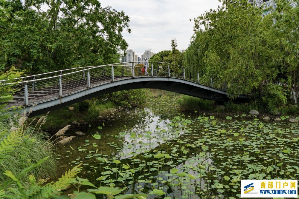 在成都|从晨曦到夜色,感受生态之城的绿色脉搏(图25) 在成都|从晨曦到夜色,感受生态之城的绿色脉搏(图25)