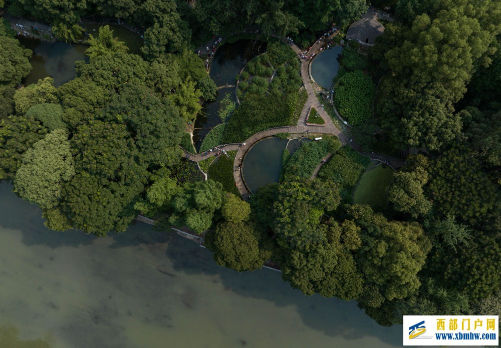 在成都|从晨曦到夜色,感受生态之城的绿色脉搏(图27) 在成都|从晨曦到夜色,感受生态之城的绿色脉搏(图27)