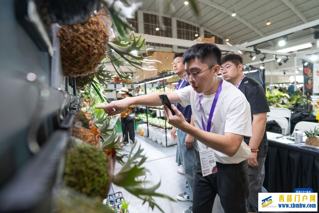 第二十三届中国昆明国际花卉展开幕(图6) 第二十三届中国昆明国际花卉展开幕(图6)