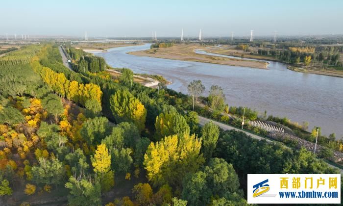 宁夏中卫:黄河岸边秋意浓(图3) 3.jpg