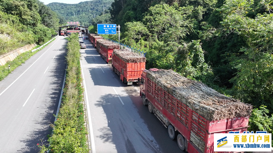 中老2025至2026年度榨季甘蔗跨境运输开启(图1) 中老2025至2026年度榨季甘蔗跨境运输开启(图1)