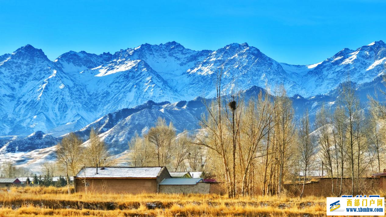 甘肃民乐：祁连山下的冬日画卷(图3)