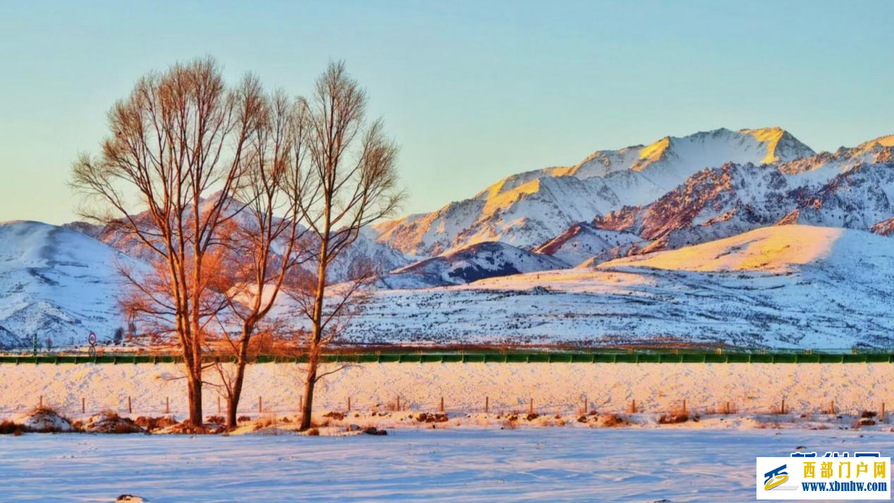 甘肃民乐：祁连山下的冬日画卷(图4)