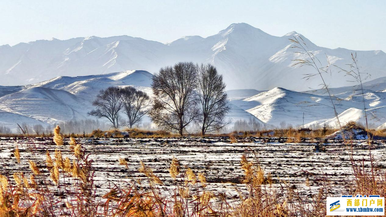 甘肃民乐：祁连山下的冬日画卷(图5)